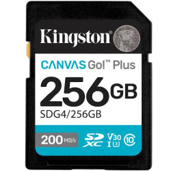 Kingston SD Canvas Go! Plus 256GB