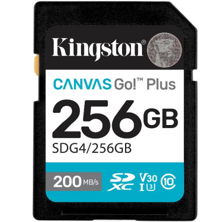 Kingston SD Canvas Go! Plus 256GB