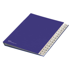 Classificatore numerico 1/31 - 643D - 24x34 cm - blu - Fraschini