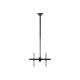 StarTech.com Supporto da Soffitto per TV a schermo piatto da 32" a 70" LCD, LED o Plasma - Staffa - per pannello piatto - accia