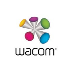 Wacom - Cavo USB - mini-USB Type B (M) a USB (M) - USB 2.0 - 4.5 m - per Wacom STU-430, STU-530