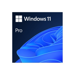 Windows 11 Pro - Licenza - 1 licenza - ESD - 64-bit, vendita al dettaglio nazionale - Tutte le lingue