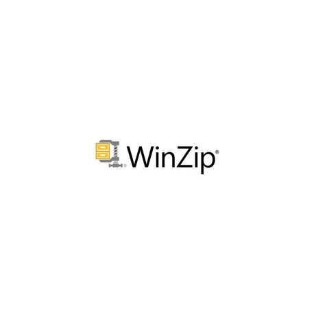 WinZip Enterprise - Manutenzione (rinnovo) (1 anno) - 1 utente - CLP - Livello C (100-999) - Win - Multi-Lingual