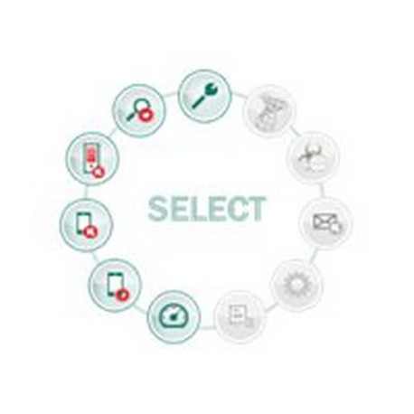 Kaspersky Endpoint Security for Business - Select - Licenza a termine (1 anno) - 1 nodo - volume - Livello R (100-149) - Win - 