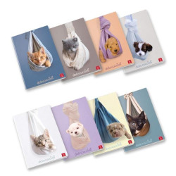 Pigna MAXI QUADERNO DOLCI CUCCIOLI A4 80GR - C