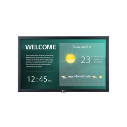 LG 22SM3G-B, Pannello piatto per segnaletica digitale, 54,6 cm (21.5"), IPS, 1920 x 1080 Pixel, Wi-Fi, 16/7