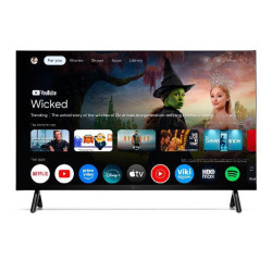 TV e Hotel TV - 24 HD TS24FL SMG15 Google TV