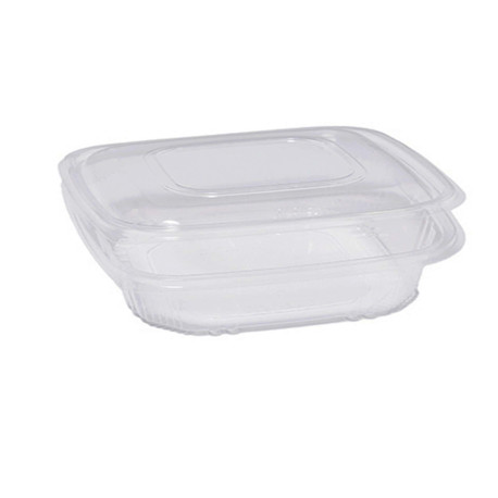 Contenitori in PP - con coperchio incernierato - 18,5 x 18,5 x 5,2 cm - Europack - conf 50 pezzi