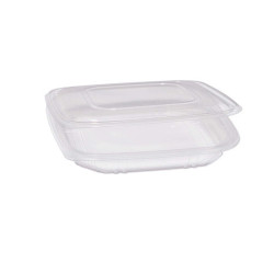 Contenitori in PP - con coperchio incernierato - 21,5 x 21,5 x 3,4 cm - Europack - pack 50 pezzi