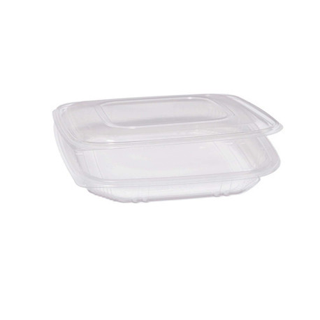 Contenitori in PP - con coperchio incernierato - 21,5 x 21,5 x 3,4 cm - Europack - pack 50 pezzi