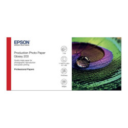 Epson Production - Polietilene (PE) - Lucido - microporoso - 200 micron - Rotolo (111,8 cm x 30 m) - 200 g/m² - 1 rotoli carta 
