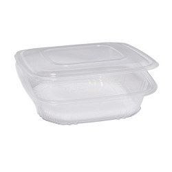 Contenitori in PP - con coperchio incernierato - 21,5 x 21,5 x 6,9 cm - Europack - conf. 50 pezzi