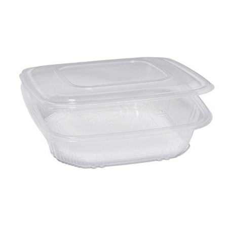 Contenitori in PP - con coperchio incernierato - 21,5 x 21,5 x 6,9 cm - Europack - conf. 50 pezzi