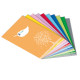 Coprimaxi Green - 21 x 30 cm - carta - 120gr  - c/tasche - rosso - Colorosa
