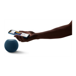 Apple HomePod mini - Altoparlante intelligente - Wi-Fi, Bluetooth - Controllato da app - blu