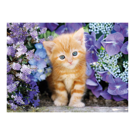 Clementoni High Quality Collection - Ginger Cat - puzzle - 500 pezzi
