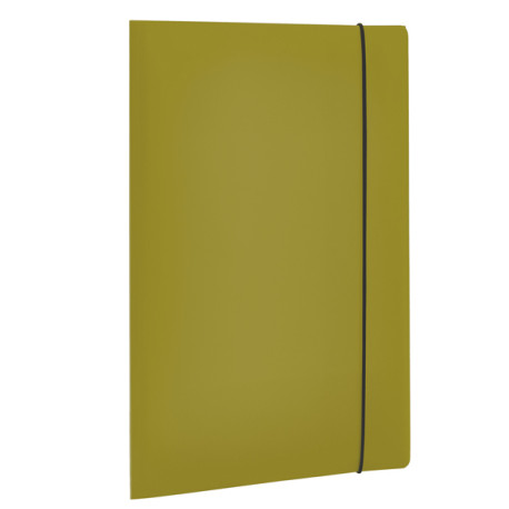 Cartellina 3 lembi HOLOS - PP - 25x35cm - verde - Fellowes