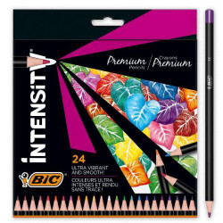 Bic MATITE COLORATE INTENSITY