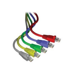 Brand-Rex Cat6Plus - Cavo patch - RJ-45 (M) a RJ-45 (M) - 1 m - UTP - CAT 6 - schermato - grigio