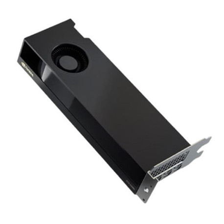 Dell NVIDIA RTX 2000 Ada 16GB