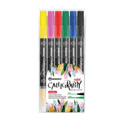 Cwr PENNE CALLIGRAPHY BASICA - SET 6 PUNTE ASSORTITE