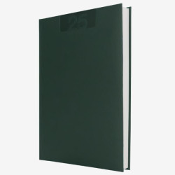 In Tempo AGENDA GIORNALIERA 17X24 ALFA VERDE