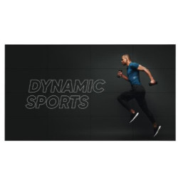LG Ledwall 49” 500 cd/m 16:9