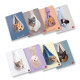 Pigna MAXI QUADERNO DOLCI CUCCIOLI A4 80GR - C