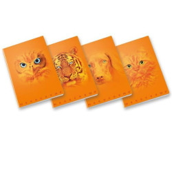 Pigna QUADERNO MONOCROMO ORANGE A4 100GR - 5 MM