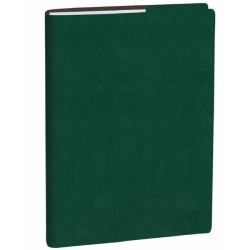 Quo Vadis AGENDA DEL PROFESSORE ROMA VERDE INGLESE