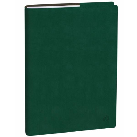 Quo Vadis AGENDA DEL PROFESSORE ROMA VERDE INGLESE