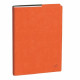 Quo Vadis AGENDA UNIVERSITAIRE ROMA ARANCIO