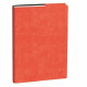 Quo Vadis AGENDA UNIVERSITAIRE ROMA ROSA CORALLO