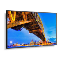 Sharp/Nec M431-2