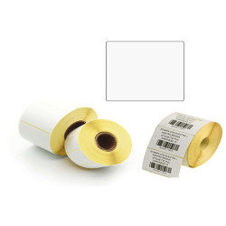 Etichette per trasferimento termico diretto - 1 pista - 100 x 100 mm - Printex - rotolo da 500 pezzi