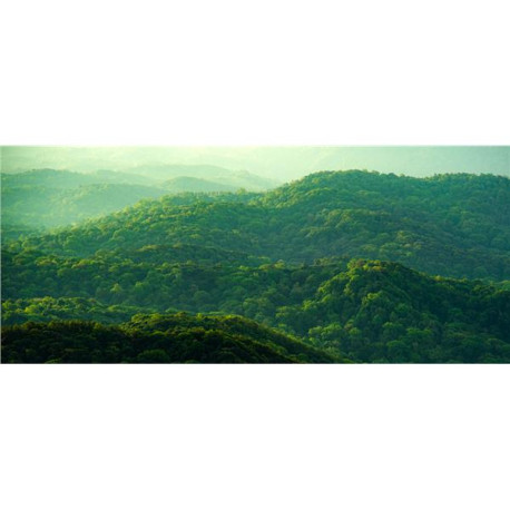 Dell Technologies S3225QS Dell 32 Plus 4K