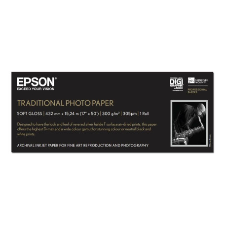 Epson Traditional Photo Paper - Rotolo (43,2 cm x 15 m) - 300 g/m² - carta fotografica - per SureColor P5000, P800, SC-P10000, 