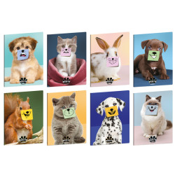 Maxiquaderno Pets-IT - A4 - 5mm c/margine - 21 fogli - 80 gr - Blasetti