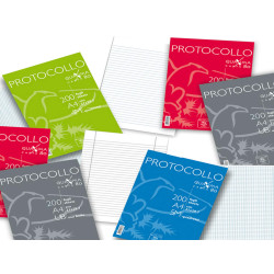 Fogli protocollo Quaxima - A4 - 5 mm - 80 gr - Pigna - conf. 200 pezzi
