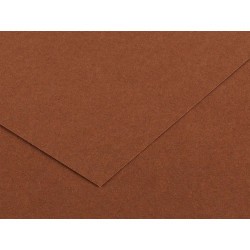 Foglio Colorline - 70x100 cm - 220 gr - cioccolato - Canson