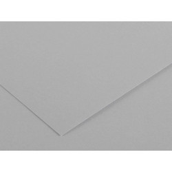 Foglio Colorline - 70x100 cm - 220 gr - grigio chiaro - Canson