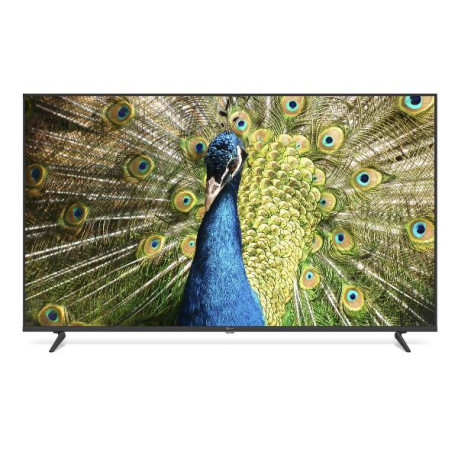 TV e Hotel TV - 55 UHD 4K FL4K SMV14 T2S2 Smart