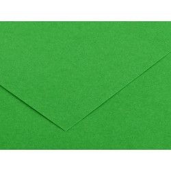 Foglio Colorline - 70x100 cm - 220 gr - verde brillante - Canson