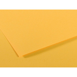 Foglio Mi-Teintes - A4 - 160 gr - botton d'oro - Canson