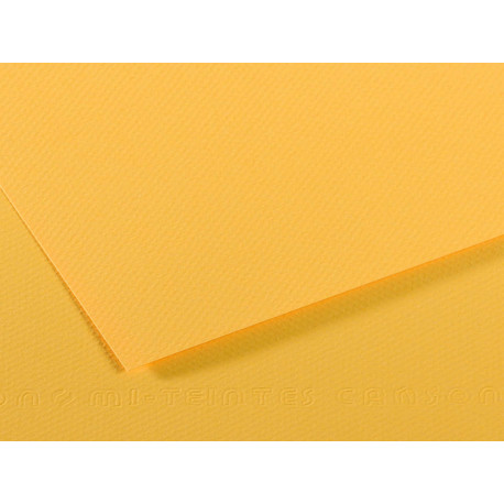 Foglio Mi-Teintes - A4 - 160 gr - botton d'oro - Canson