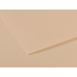 Foglio Mi-Teintes - A4 - 160 gr - conchiglia - Canson