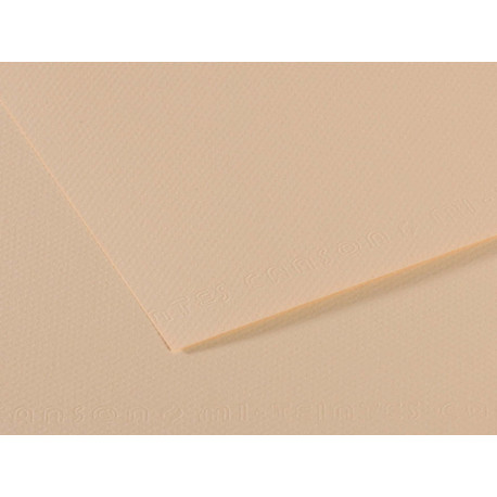 Foglio Mi-Teintes - A4 - 160 gr - conchiglia - Canson