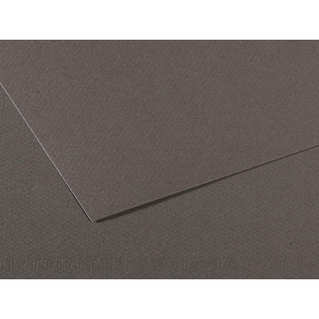 Foglio Mi-Teintes - A4 - 160 gr - grigio ardesia - Canson