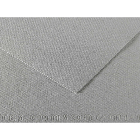 Foglio Mi-Teintes - A4 - 160 gr - grigio flanella - Canson