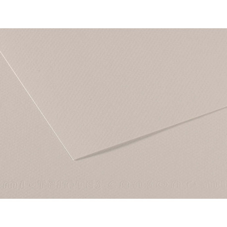 Foglio Mi-Teintes - A4 - 160 gr - grigio perla - Canson
